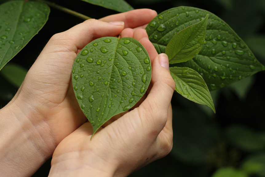 Specifications_Rainwater harvesting_862X575